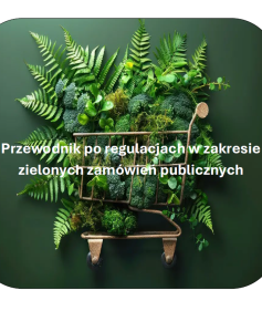 Strona tytułowa dokumentu