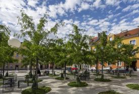 Zrewitalizowany miejski plac z młodymi drzewami, ławkami i stolikami, otoczony kolorowymi kamienicami pod błękitnym niebem.