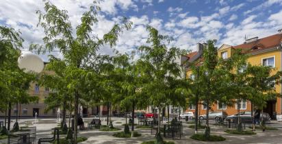 Zrewitalizowany miejski plac z młodymi drzewami, ławkami i stolikami, otoczony kolorowymi kamienicami pod błękitnym niebem.