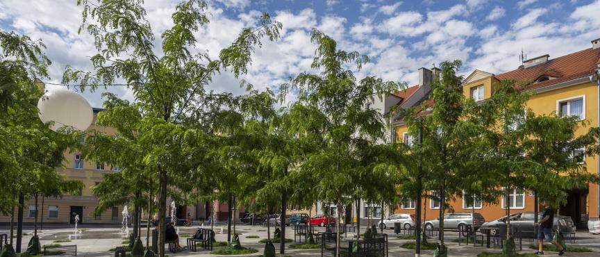 Zrewitalizowany miejski plac z młodymi drzewami, ławkami i stolikami, otoczony kolorowymi kamienicami pod błękitnym niebem.