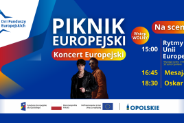 Grafika promująca Piknik Europejski