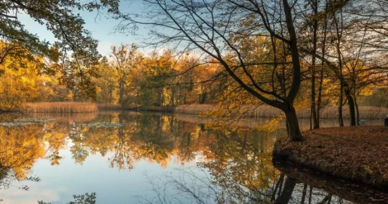 rzeka w Opolu