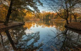 rzeka w Opolu